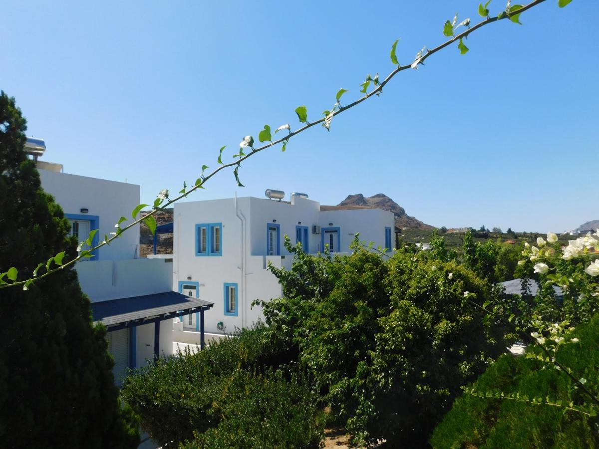 Anna Ageliki Aparthotel ดัมโนนี ภายนอก รูปภาพ