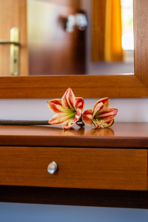 Anna Ageliki Aparthotel ดัมโนนี ภายนอก รูปภาพ